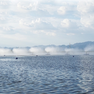 漂浮式機(jī)械霧化蒸發(fā)器